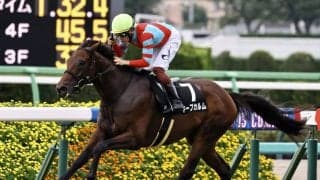 【木更津特別】キープカルムが抜け出す…断然人気ペリファーニアは4着