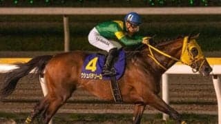 【船橋・日本テレビ盃枠順】ウシュバテソーロは4枠4番、デルマソトガケは5枠7番