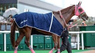 【シリウスS】オメガギネス、ヴァンヤールらが登録