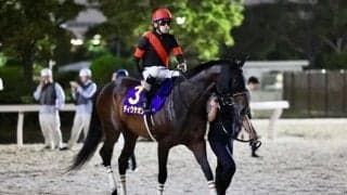 【白山大賞典】ディクテオンは6枠7番へ