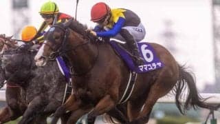 秋のGIシリーズ第一弾スプリンターズS/今週の競馬界の見どころ