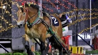 【ばんえい・銀河賞】タカラキングダムが重賞3連勝…金田「毎回驚いています」