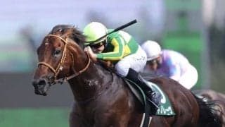 【スプリンターズS登録馬】サトノレーヴなど18頭…外国馬も参戦