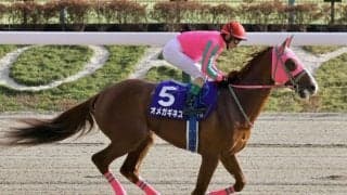 【シリウスS登録馬】オメガギネスなど17頭