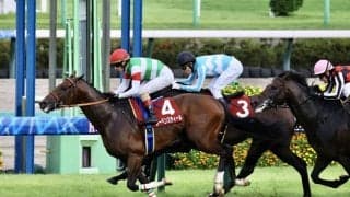 WIN5は120万円超の払戻し…オールカマーはレーベンスティールがV