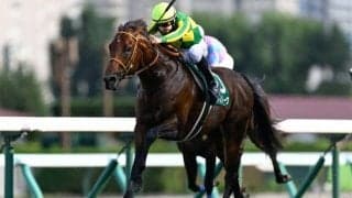 【スプリンターズS見どころ】勢いそのままにサトノレーヴがGI奪取だ