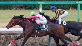 【金沢・白山大賞典注目馬】当地唯一のダートグレード競走 タイトルをつかみ大舞台へと飛躍する馬は
