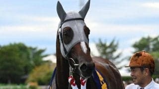 【神戸新聞杯】売上は60億812万300円で昨年より約6000万円増加