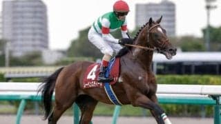 【オールカマー】売上は63億3181万6600円で昨年より約10億円減少