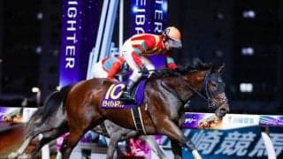 【先週のJRA抹消馬】昨年の関東オークス覇者パライバトルマリン、芝ダの短距離で活躍したメディーヴァルなど