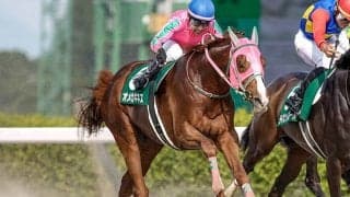 【シリウスS想定騎手】オメガギネスは松山弘平騎手、ハピは坂井瑠星騎手