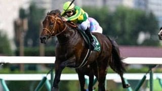 【AI予想・スプリンターズS】前走で人気薄だった馬はレース当日の枠番に注意！ 本命候補は中山芝1200mに高い適性を示す3頭