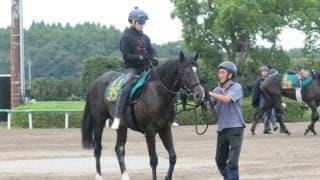 「兄とは違ったタイプだが…」香G1・2勝ウインブライトの半弟が初陣/関東馬メイクデビュー情報