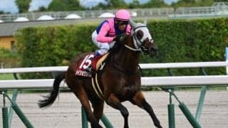 神戸新聞杯を逃げ切ったメイショウタバル 「菊花賞は歓迎」の血統背景とは