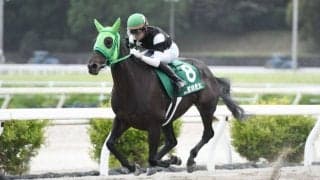 【YJS高知】JRA橋木太希、地方長江慶悟が暫定1位