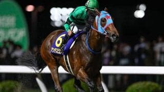 【船橋・マリーンC枠順】関東オークス覇者アンデスビエントは3枠3番 世代限定戦への移行初年度は6頭立て