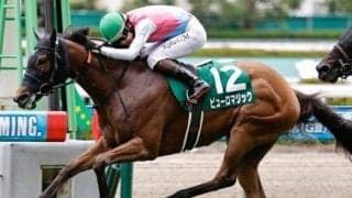 今年ダービーVの黄金タッグ結成 大ベテランが3歳牝馬をスプリンターズS制覇に導くか