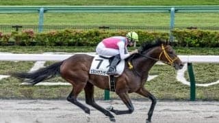 【シリウスS展望】好走条件揃うビヨンドザファザーの巻き返しを期待