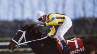 父系にひと癖あった名種牡馬「ディクタス」 日本で多数の活躍馬を出した要因とは