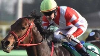 “トウカイテイオー超え”なるか 中552日でスプリンターズS出走のタートルボウル産駒が記録づくめのV狙う