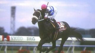 560kgの大型馬が得た最速の称号 JRA史上最高馬体重でのGI制覇