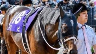 最強の重賞未勝利馬がシリウスSでタイトル狙う 10度目の挑戦で悲願成就なるか