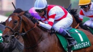 “5億円レース”の覇者がスプリンターズS参戦 天国の父にJRA・GIタイトル届けるか