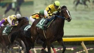 07年根岸S覇者ビッググラスが死亡 23歳