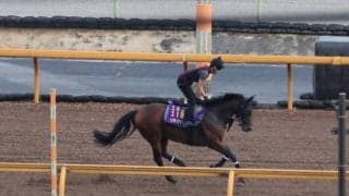 リバティアイランドなど、先週の入厩情報/栗東トレセンニュース