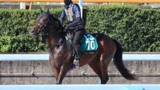 オーレアミストなど、先週のゲート試験/栗東トレセンニュース