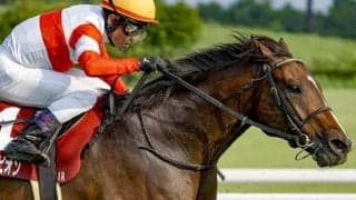 福永祐一厩舎3度目のGI挑戦へ 復活狙うGI馬がスプリンターズSでタイトルを届けるか