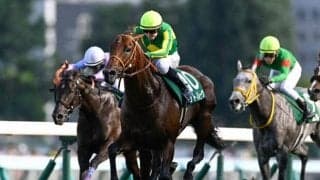 【スプリンターズS予想オッズ】サトノレーヴが予想1番人気