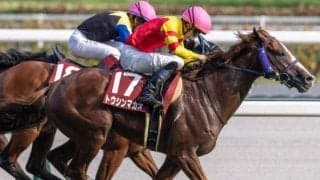 日本を代表するスプリント血統 史上4組目の父系4代JRA・GI制覇にトウシンマカオが挑む