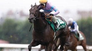 “8度目の正直”なるか 横山武史騎手を鞍上にスプリンターズSで悲願のGI制覇へ