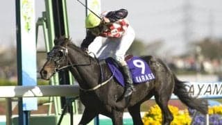 カラジが29歳で死す 中山GJを3連覇した豪州の名ジャンパー