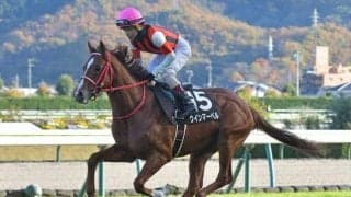 【スプリンターズS展望】秋のGIシリーズ開幕戦、前走の人気に注目