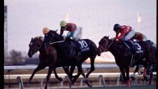 世界を制した絶対王者を撃破 7番人気の激走に中山競馬場騒然