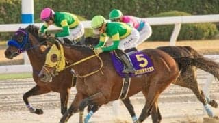 【船橋・日本テレビ盃注目馬】ウシュバテソーロ＆デルマソトガケ 米遠征前に弾み付ける勝利なるか