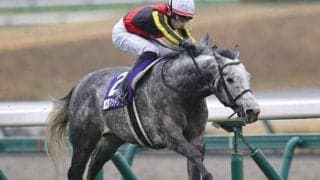 “芦毛の快速馬”がスプリンターズSで春秋スプリントGI同年制覇狙う 過去の5頭との共通点は？