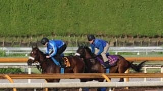 ステレンボッシュ、秋華賞2週前追い切り速報/栗東トレセンニュース