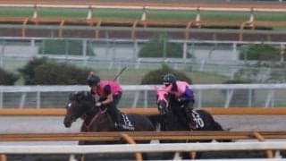 ラムジェット、JDC追い切り速報/栗東トレセンニュース