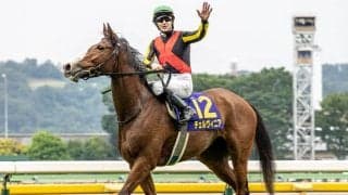 【秋華賞想定】チェルヴィニア、ステレンボッシュなど15頭