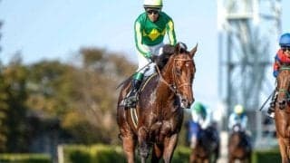 【スプリンターズS予想】穴党のAI推奨は意外にも連勝中の人気馬 秋GI開幕戦攻略のカギは？