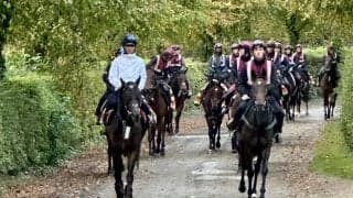 【凱旋門賞】武豊騎手が愛アルリファーと初コンタクト