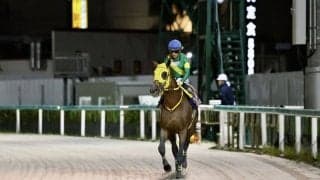 【日本テレビ盃】高木師「1800mで忙しいところもあった」ウシュバテソーロは追い込み届かず2着