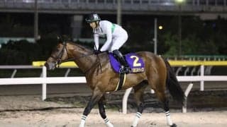 【日本テレビ盃】上村師「次走については検討」ウィリアムバローズが会心の勝利