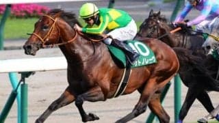 重賞3勝挙げた快足馬の弟がスプリンターズS参戦 GI初挑戦初制覇なるか