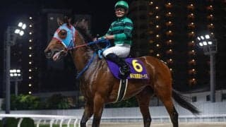 【船橋・マリーンC注目馬】今年から3歳限定戦で「Road to JBC」に指定 JpnIへの直行切符を手にする馬は