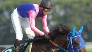 6億円以上を獲得の名牝にGI連覇馬など 中京のシリウスSから後の活躍馬