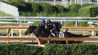 ヨーホーレイク、毎日王冠1週前追い切り速報/栗東トレセンニュース